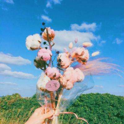 买球的app排行榜前十名推荐手机app下载